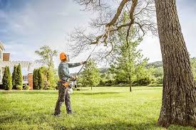 Lawn Maintenance Plans in Wartburg, TN
